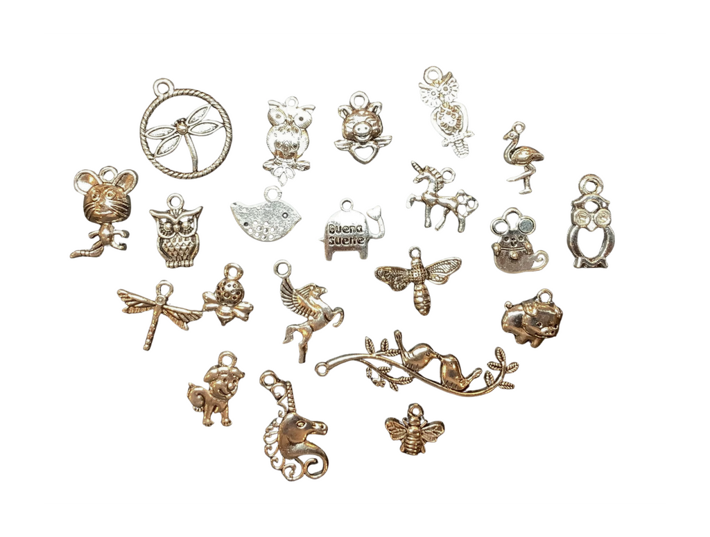 Charm add on