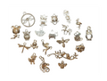 Charm add on