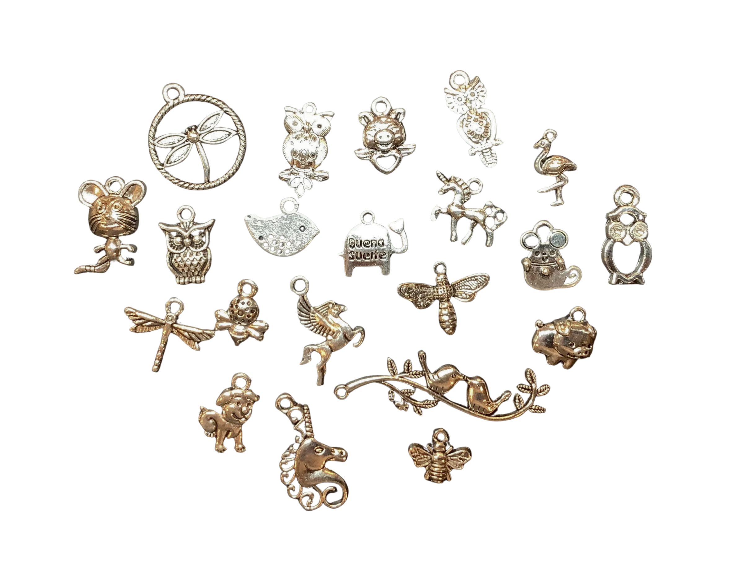 Charm add on