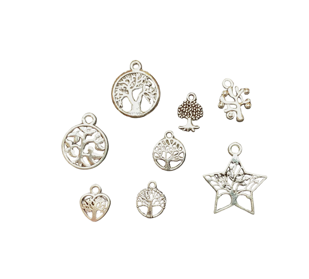 Charm add on